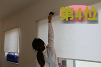 ほこり取り